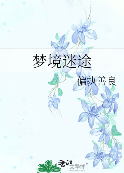 梦境迷踪，寻觅自我与旧时之履的启示